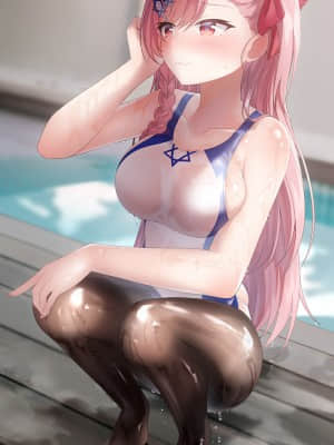 My Fetish Collection 4  Swimsuit & Pantyhose_044_gelbooru5130249_000