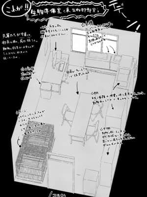 [靴下汉化组] (C96) [ハウス栽培もち (白玉もち、かごのとり)] はだかの梢ちゃん_23