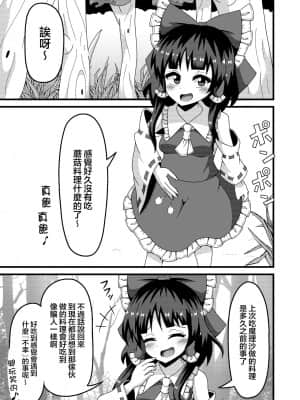 [臭鼬娘漢化組] [ルドニック星人 (セイルド)] 霊夢の不運な大異変 (東方Project) [DL版]_04