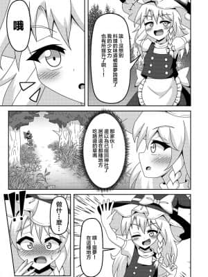 [臭鼬娘漢化組] [ルドニック星人 (セイルド)] 霊夢の不運な大異変 (東方Project) [DL版]_10