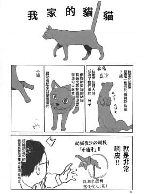 (C94) [わくわく動物園 (天王寺きつね)] ねこ(むすめ)のきもち (ゲゲゲの鬼太郎) [中国翻訳]_31