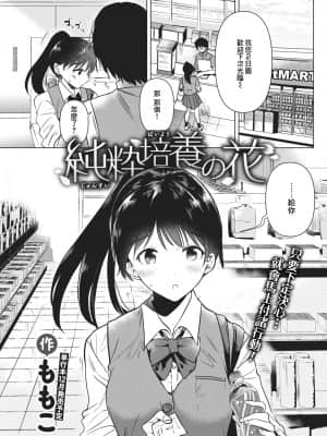 [霞草個人漢化] [ももこ] 純粋培養の花 (COMIC 快楽天 2021年9月号) [DL版]