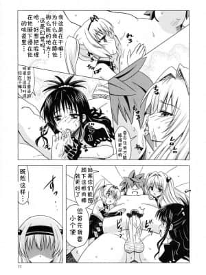 [jtc个人汉化] (C83) [覇娘。 (猫耳花音)] 完了ハーレム計画 妹天国 (ToLOVEる -とらぶる-)_10