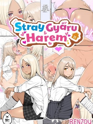 [Benzou] Stray Gyaru Harem