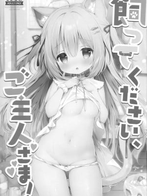 [绅士仓库汉化] (コミティア138) [MochiPeach (桃豆こまもち)] 飼ってください、ご主人さま！_02