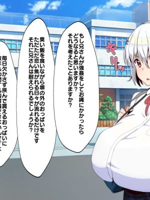 (同人CG集) [あのじじょう] パイズリだけはしぶしぶ許してくれる乳のデカイ妹_043