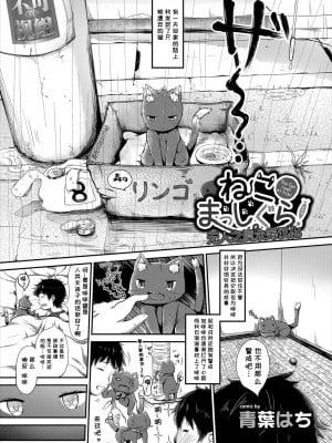 [青葉はち] ねこまっしぐら! (ケダモノ娘フレンズ その2) [无人之境×不可视汉化组]