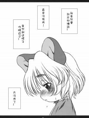 [Sewlde.K.Charat] (C76) [うそ製作所 (春風うにぽ)] チューチューフィーバー! (東方Project)_19