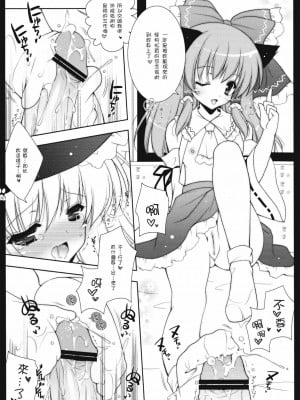 [东方小吃店] (C75) [しぐにゃん (しぐにゃん)] 東方美人 (東方Project)_06