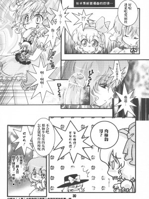 [转尾巴猫汉化] (C80) [すとろべりー (いちご)] ふたろりっ娘 (東方Project)_29