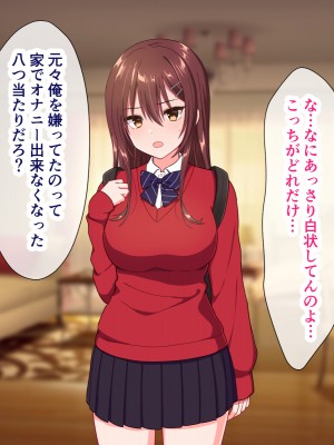 [いちご (しっぽ)] 俺を嫌いな義妹の弱みを握ってヤり放題していたらいつの間にかラブラブになっていた_104_011_0005