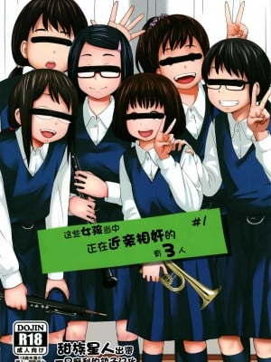 (C94) [椿十四郎] この中に近親相姦している娘が3人います (オリジナル) [一只麻利的鸽子个人汉化] [v2]