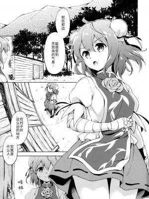 (紅楼夢11) [たこ焼き畑 (たこ焼き)] 攻略せよ!薄い書物の支配者 (東方Project) [中国翻訳]_01