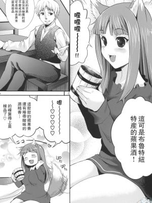 [飞雪汉化组] (COMIC1☆3) [小悪魔sage派 (sage・ジョー)] 狼と蜜林檎 (狼と香辛料)_05