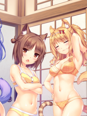 nekopara extra_20