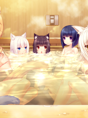 nekopara extra_15