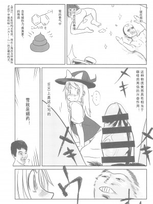 (例大祭15) [テコキッズ (よろず)] 大人のクッキ―☆～ブラック＆ホワイト～ (東方Project) [ページ欠落] [MKDK水夏个人汉化]_033