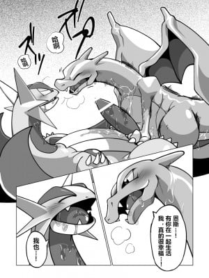 (関西けもケット5) [メガ盛噴火丼Z (よろず)] Mega Dragons' Lust (ポケットモンスター) [虾皮汉化组] [ページ欠落]_09