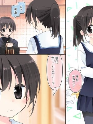 (同人CG集) [空色にゃんにゃん (片瀬蒼子)] ある兄妹の誰にも言えないえっちな5年間。_0235_03_002