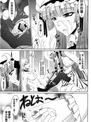 [喵玉汉化] (例大祭8) [みならい本舗 (皆素人)] パチュリーと足ばかりの同人 (東方Project)_18