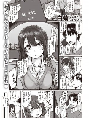 [白菊]昔なじみな家出娘