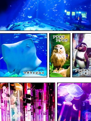 [STUDIOふあん (来鈍)] 飯犯トラベラーズ 沖縄集団レイプ済 ハーレムひとり旅編_081