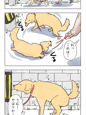 [Lithium] 100日後に愛犬とセックスする地味巨乳メガネちゃん_001