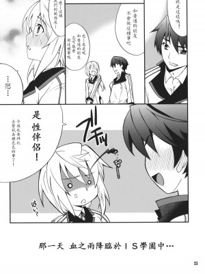 [soulrr 個人漢化] (COMIC1☆5) [P-FOREST (穂積貴志)] シャルdeないと (IS＜インフィニット・ストラトス＞)_24