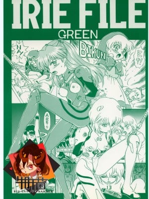 (C54) [RAT TAIL (IRIE YAMAZAKI)] IRIE FILE GREEN (新世紀エヴァンゲリオン, 赤ずきんチャチャ) [牛肝菌汉化]