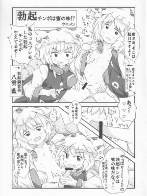 [UNK教団の野望 (よろず)] 東方本物×CJD合同 幻想少女はCJDがお好き2 (東方Project)_29