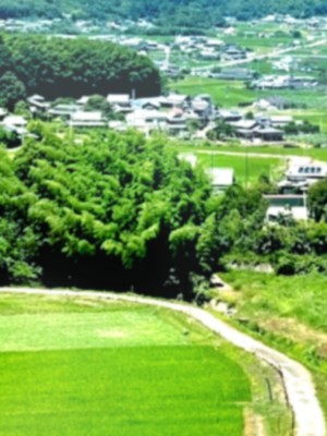 [もふまんじゅう] 混浴温泉で濃厚交尾の5日間_334