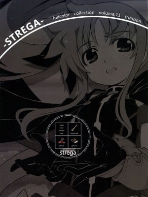 [鬼畜王汉化组] (C82) [TRI-MOON! (みかづきあきら!)] Strega ストレーガ (魔法少女リリカルなのは)_02