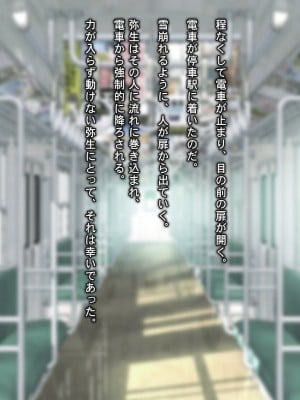 [Sage] THE電車!～淫行電車で快楽堕ちした少女たちの話3本立ち～【総集編】_0202