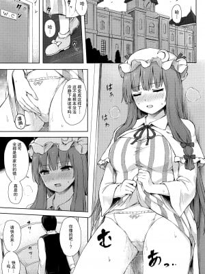 (秋季例大祭8) [てこめんち (てち)] パチュリー・ノーレッジ快発記録II (東方Project) [中国翻訳]_002