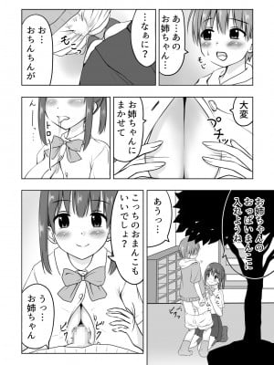 [綿貫スイ] お姉ちゃんに射精したい!_03