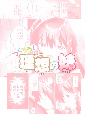 (C99) [squee59sandyheaven (いちはや)] 作ろう!理想の妹 [山樱汉化]_27