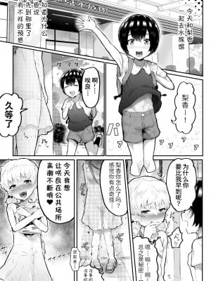 [アイリミアーシュ (ラブ)] 可愛いショタにはまんこをつけよ!～おっぱい見せて外伝～ [Ghoster个人汉化]_28