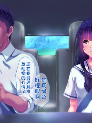 [桃園結] せきらら逃避行 ～陰キャ少女と猥褻くるま旅～ [中国翻訳]_424