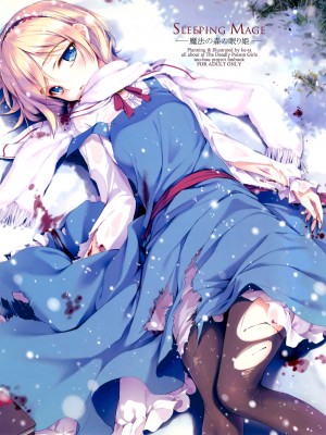 (C81) [劇毒少女 (ke-ta、日向、冬馬雪崩)] SLEEPING MAGE ‐魔法の森の眠り姫‐ 劇毒少女 Publication Number VII (東方Project)[中国翻訳]_02