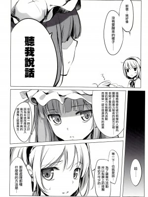 (C81) [劇毒少女 (ke-ta、日向、冬馬雪崩)] SLEEPING MAGE ‐魔法の森の眠り姫‐ 劇毒少女 Publication Number VII (東方Project)[中国翻訳]_12