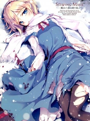 (C81) [劇毒少女 (ke-ta、日向、冬馬雪崩)] SLEEPING MAGE ‐魔法の森の眠り姫‐ 劇毒少女 Publication Number VII (東方Project)[中国翻訳]