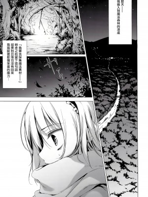 (C81) [劇毒少女 (ke-ta、日向、冬馬雪崩)] SLEEPING MAGE ‐魔法の森の眠り姫‐ 劇毒少女 Publication Number VII (東方Project)[中国翻訳]_05