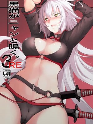 [IRON GRIMOIRE (SAKULA)] 黒猫がニャンと鳴く。3RE (Fate╱Grand Order) [自宅用汉化] [DL版]