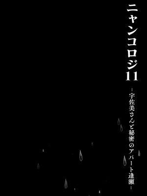 (メガ秋葉原同人祭 第1回) [きのこのみ (konomi)] ニャンコロジ11 -宇佐美さんと秘密のアパート逢瀬- [绅士仓库汉化]_14