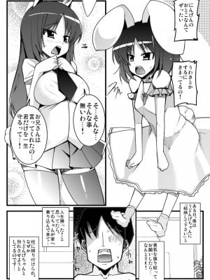 [しいのともしびたけ (一本杭)] いなばの嫁うさぎ (東方Project) [DL版]_04