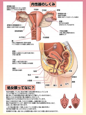 [人生横滑り。 (荒岸来歩)] メイドさんと学ぶおんなのこのからだ [DL版]_16