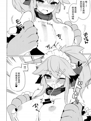 (C93) [カタミミヘッドフォン (蟻吉げん)] キャットセラピーなど如何かな-ご主人。 (Fate／Grand Order) [不咕鸟汉化组]_12