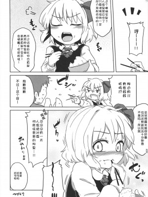 [脸肿汉化组] (例大祭10) [幼性アレルゲン (TEC)] 愛しのブラインドネス -ぷらす!- (東方Project)_20