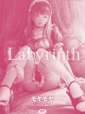 [モヤモヤ] Labyrinth [DL版]_228