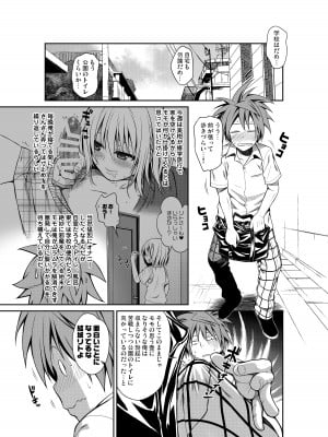 [40010壱号(40010試作型)] Prototype Other Love (To LOVEる -とらぶる-)_012